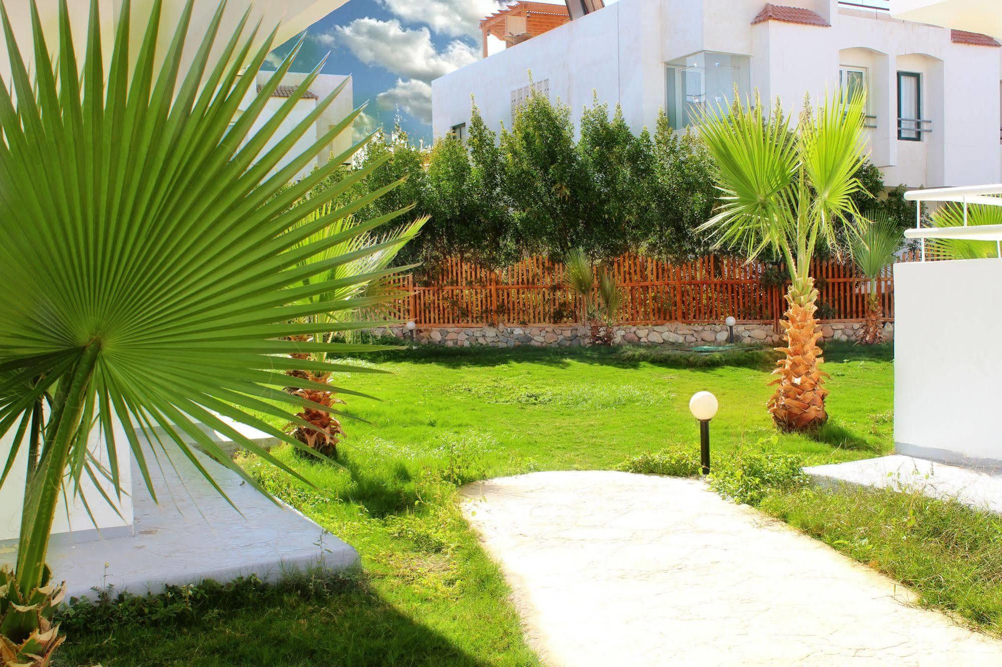 Viking Club Hotel Sharm El Sheikh Екстериор снимка